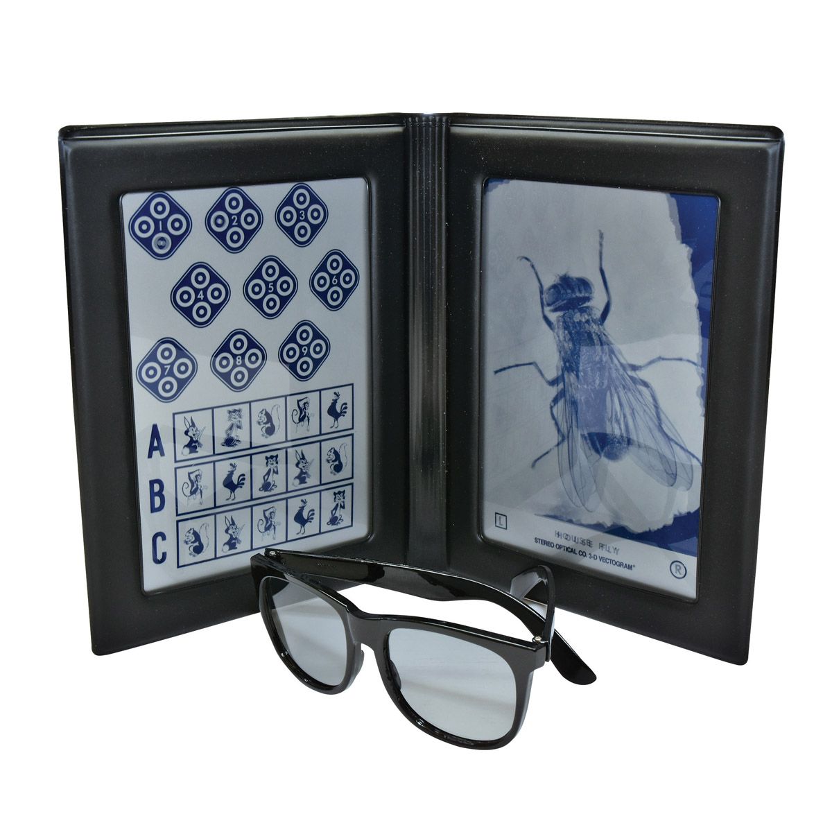 Original Stereo Fly Test