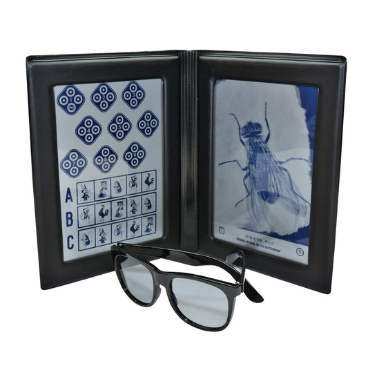 Original Stereo Fly Test